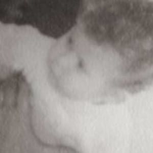 Meet your Posher, Roy